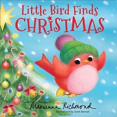 Little Bird Finds Christmas цена и информация | Книги для подростков и молодежи | kaup24.ee