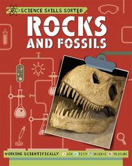 Science Skills Sorted!: Rocks and Fossils цена и информация | Книги для подростков и молодежи | kaup24.ee