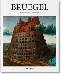 Bruegel цена и информация | Книги об искусстве | kaup24.ee