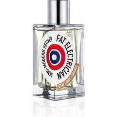 Parfüümvesi meestele Etat Libre d'Orange Fat Electrician EDP, 50 ml hind ja info | Meeste parfüümid | kaup24.ee