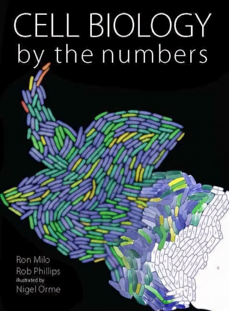 Cell Biology by the Numbers hind ja info | Majandusalased raamatud | kaup24.ee