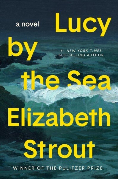 Lucy by the Sea: A Novel цена и информация | Fantaasia, müstika | kaup24.ee