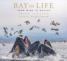 Bay of Life: From Wind to Whales hind ja info | Kunstiraamatud | kaup24.ee