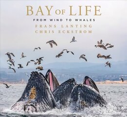 Bay of Life: From Wind to Whales цена и информация | Книги об искусстве | kaup24.ee