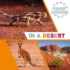Explore Ecosystems: In a Desert Illustrated edition цена и информация | Книги для подростков и молодежи | kaup24.ee
