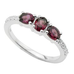 Серебряное (925) кольцо с драгоценными камнями, код ah54954 AH54954EU-57 цена и информация | Кольцо | kaup24.ee