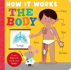 How it Works: The Body: HIW: Body hind ja info | Väikelaste raamatud | kaup24.ee