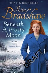 Beneath a Frosty Moon цена и информация | Романы | kaup24.ee