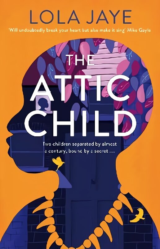 Attic Child hind ja info | Romaanid  | kaup24.ee