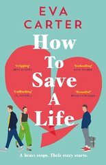 How to Save a Life hind ja info | Fantaasia, müstika | kaup24.ee