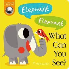 Elephant! Elephant! What Can You See? цена и информация | Книги для малышей | kaup24.ee