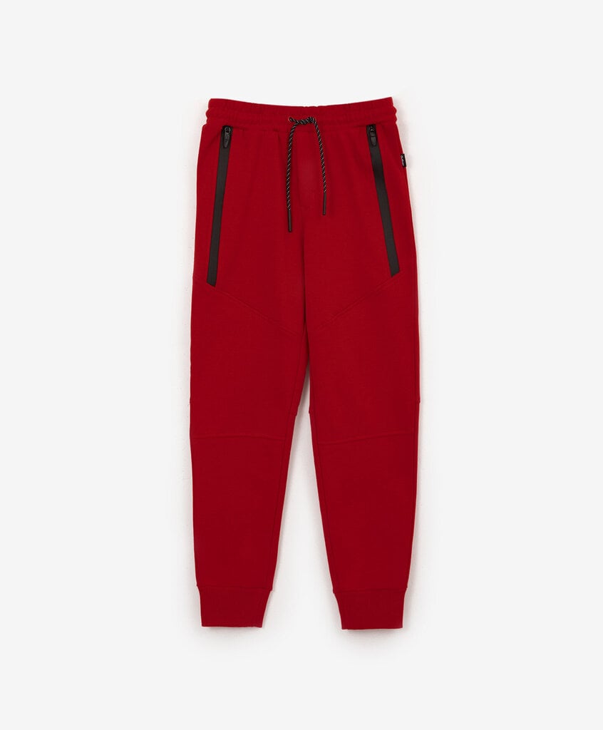 Gulliver püksid poistele, punased hind ja info | Poiste püksid | kaup24.ee