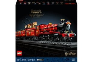 76405 LEGO® Harry Potter Sigatüüka ekspress – kollektsionääride väljaanne цена и информация | Конструкторы и кубики | kaup24.ee