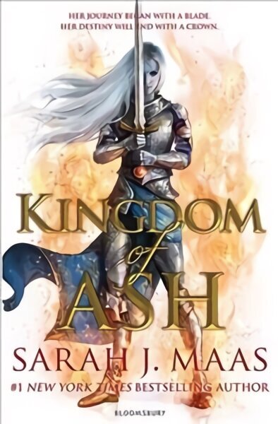 Kingdom of Ash: THE INTERNATIONAL SENSATION цена и информация | Noortekirjandus | kaup24.ee