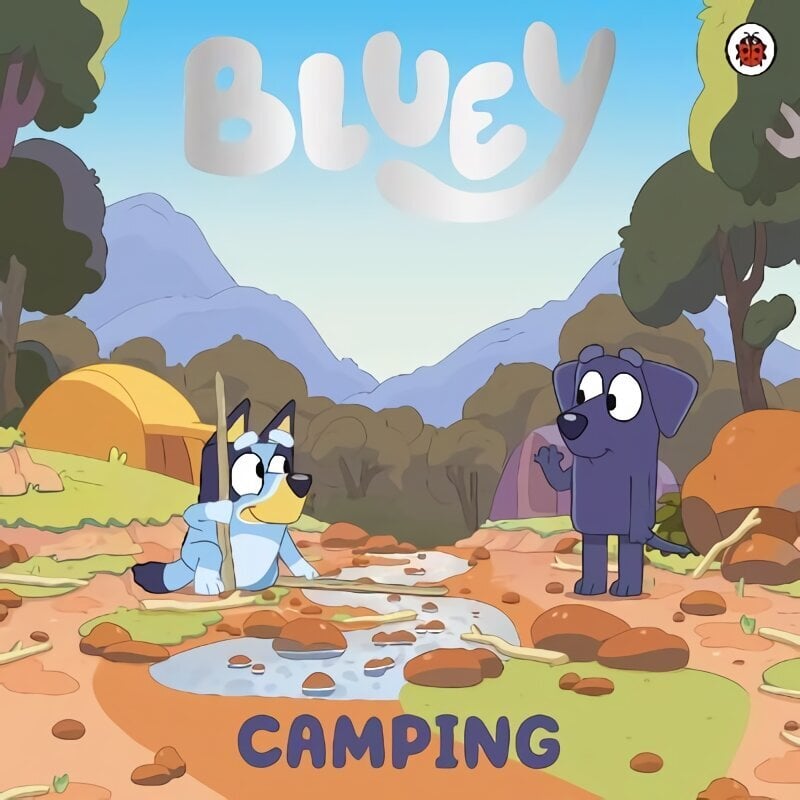 Bluey: Camping цена и информация | Väikelaste raamatud | kaup24.ee