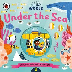 Little World: Under the Sea: A push-and-pull adventure hind ja info | Väikelaste raamatud | kaup24.ee