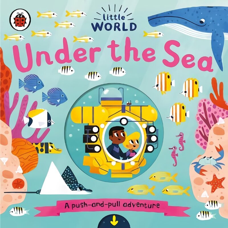 Little World: Under the Sea: A push-and-pull adventure цена и информация | Väikelaste raamatud | kaup24.ee