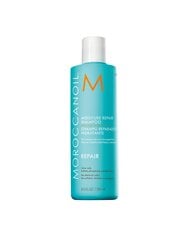 Увлажняющий шампунь Moroccanoil Moisture Repair, 250 мл цена и информация | Шампуни | kaup24.ee