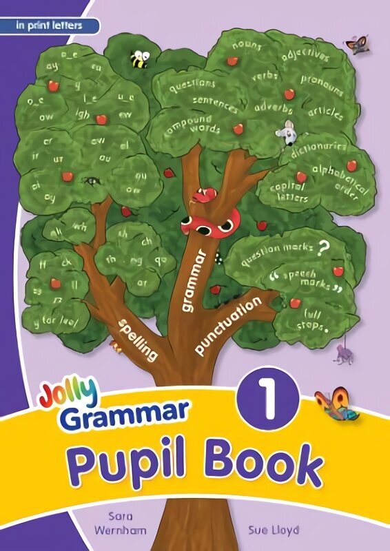 Grammar 1 Pupil Book: In Print Letters (British English edition) Student edition цена и информация | Noortekirjandus | kaup24.ee