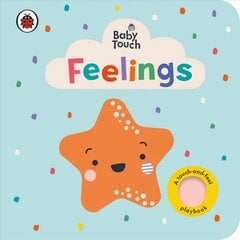 Baby Touch: Feelings цена и информация | Книги для малышей | kaup24.ee