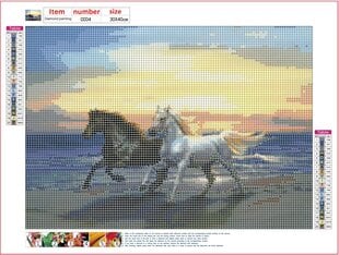 Алмазная картина-мозаика 5D набор (клеика страз) 30x40 см DK41265 цена и информация | Алмазная мозаика | kaup24.ee