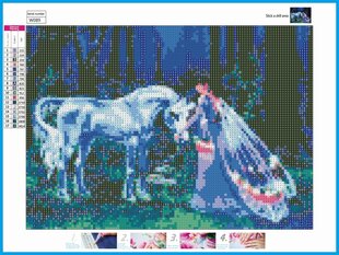 Алмазная картина-мозаика 5D набор (клеика страз) 30x40 см DK41251 цена и информация | Алмазная мозаика | kaup24.ee