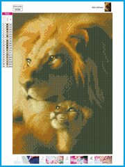 Rombikujuline-mosaiikkomplekt 5D (aukude liimimine) 30x40 cm DK41250 цена и информация | Алмазная мозаика | kaup24.ee