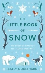 Little Book of Snow hind ja info | Lühijutud, novellid | kaup24.ee