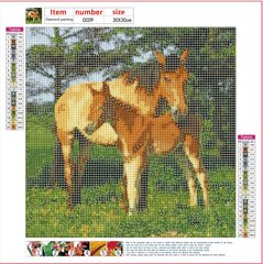 Rombikujuline-mosaiikkomplekt 5D (aukude liimimine) 30x30 cm DK31103 цена и информация | Алмазная мозаика | kaup24.ee