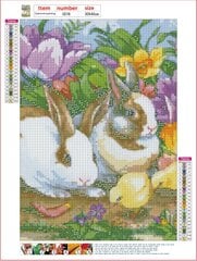 Rombikujuline-mosaiikkomplekt 5D (aukude liimimine) 30x40 cm DK41270 цена и информация | Алмазная мозаика | kaup24.ee