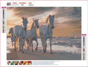 Алмазная картина-мозаика 5D набор (клеика страз) 30x40 см DK41267 цена и информация | Алмазная мозаика | kaup24.ee
