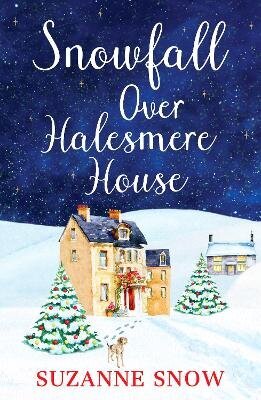Snowfall Over Halesmere House: A gorgeously festive and uplifting romance hind ja info | Fantaasia, müstika | kaup24.ee