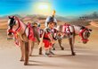 5391 PLAYMOBIL® History Rooma vanker цена и информация | Klotsid ja konstruktorid | kaup24.ee