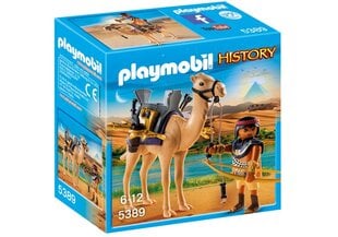 Playmobil Egiptuse sõdalane 5389 цена и информация | Конструкторы и кубики | kaup24.ee