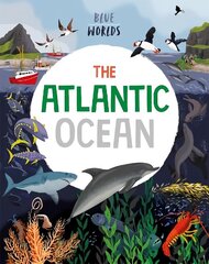 Blue Worlds: The Atlantic Ocean цена и информация | Книги для подростков и молодежи | kaup24.ee