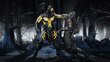 PlayStation 4 mäng Mortal Kombat XL, 5051895402726 цена и информация | Arvutimängud, konsoolimängud | kaup24.ee