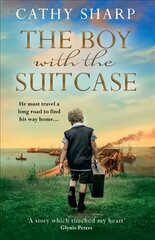 Boy with the Suitcase цена и информация | Фантастика, фэнтези | kaup24.ee