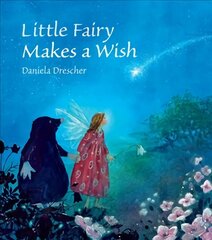 Little Fairy Makes a Wish hind ja info | Väikelaste raamatud | kaup24.ee