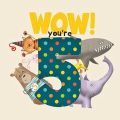 WOW! You're Five birthday book цена и информация | Книги для малышей | kaup24.ee