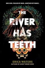 River Has Teeth цена и информация | Книги для подростков и молодежи | kaup24.ee