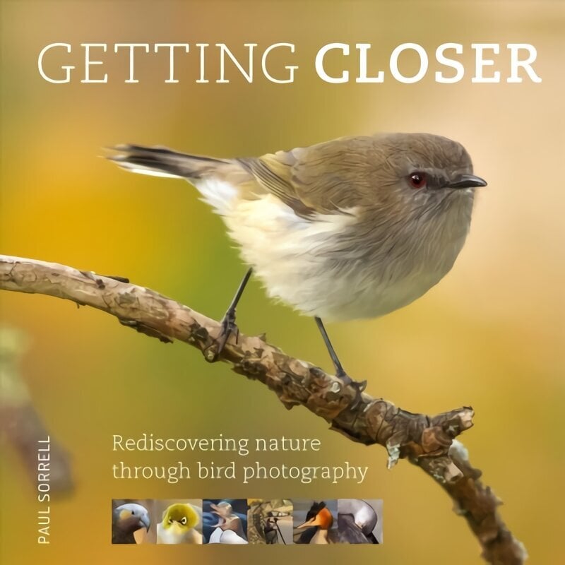 Getting Closer: Rediscovering Nature Through Bird Photography цена и информация | Kunstiraamatud | kaup24.ee