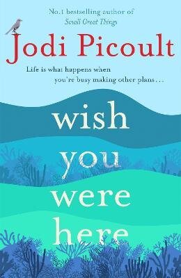 Wish You Were Here: The Sunday Times bestseller readers are raving about цена и информация | Fantaasia, müstika | kaup24.ee