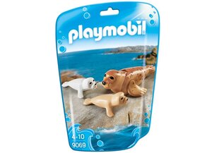 Конструктор 9069 Playmobil® Тюлень с малышом цена и информация | Конструкторы и кубики | kaup24.ee