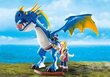 Playmobil Dragons Astrid ja Stormfly 9247 hind ja info | Klotsid ja konstruktorid | kaup24.ee