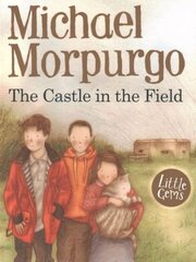 Castle in the Field цена и информация | Книги для подростков и молодежи | kaup24.ee