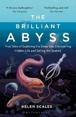 Brilliant Abyss: True Tales of Exploring the Deep Sea, Discovering Hidden Life and Selling the Seabed цена и информация | Развивающие книги | kaup24.ee