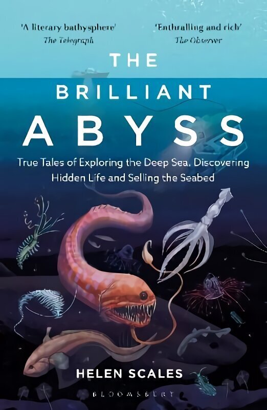 Brilliant Abyss: True Tales of Exploring the Deep Sea, Discovering Hidden Life and Selling the Seabed hind ja info | Laste õpikud | kaup24.ee