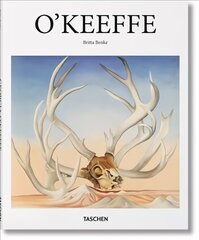 O'Keeffe цена и информация | Книги об искусстве | kaup24.ee