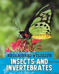 Endangered Wildlife: Rescuing Insects and Invertebrates hind ja info | Noortekirjandus | kaup24.ee