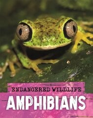 Endangered Wildlife: Rescuing Amphibians цена и информация | Книги для подростков и молодежи | kaup24.ee